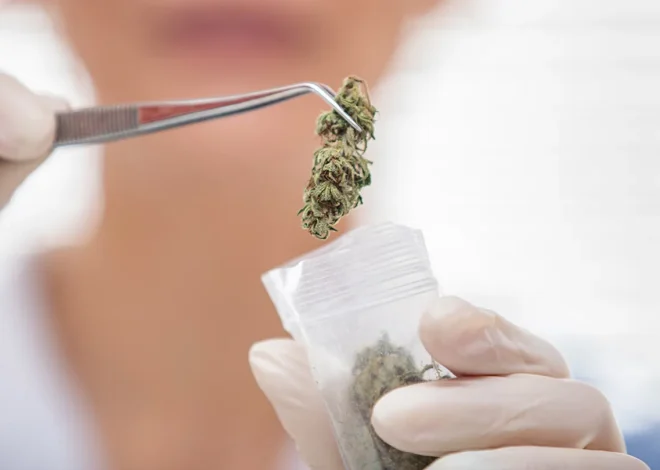 Cannabis may backfire for mental health disorders, major study finds
