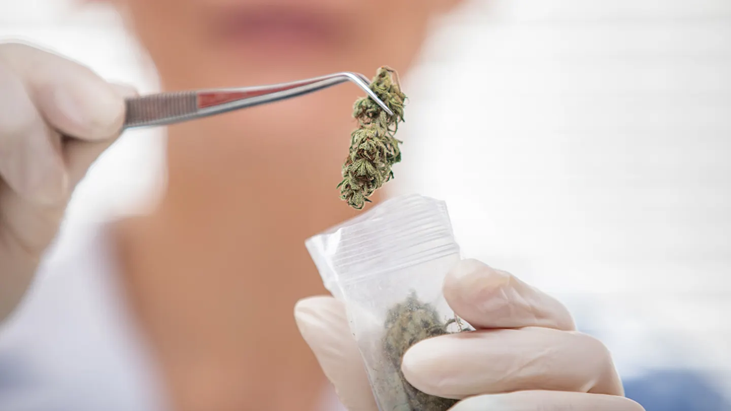 Cannabis may backfire for mental health disorders, major study finds
