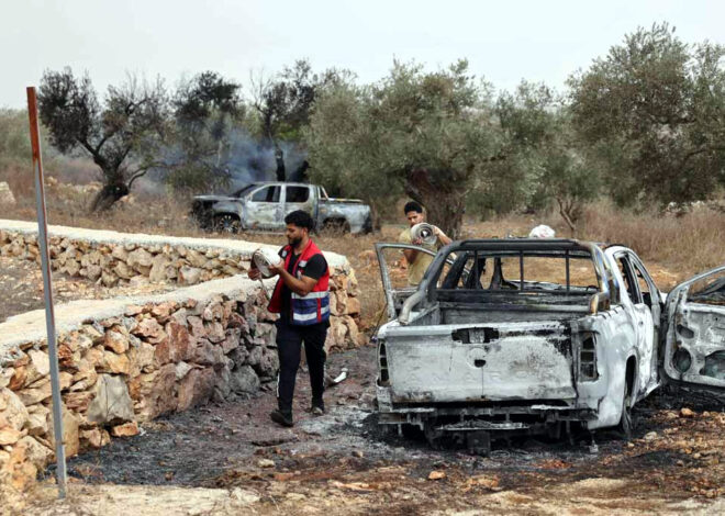 Palestinians fear violent olive harvest ahead of Israeli elections