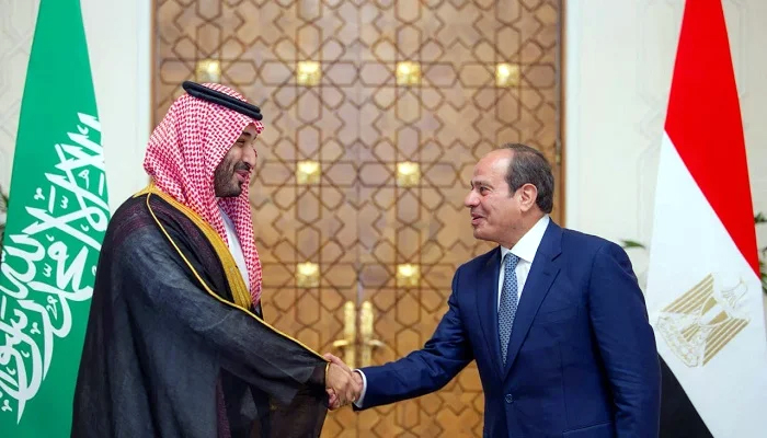Egypt pledges active support for Saudi Arabia as its parliament weighs military authorisation
