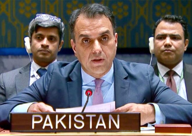 Unresolved Kosovo tensions threaten regional stability, Pakistan tells UNSC