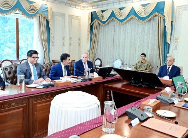 PM Shehbaz calls for accountability in partnerships with international consultants
