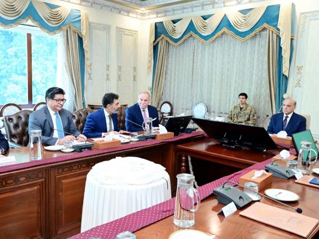 PM Shehbaz calls for accountability in partnerships with international consultants