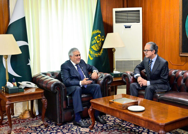 Foreign Secretary Asim Iftikhar calls on DPM Dar