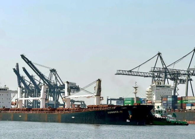 Consignment of imported wheat arrives at Karachi port