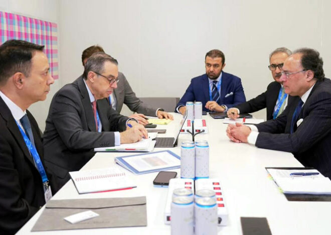Finance Minister reaffirms commitment to Reko Diq