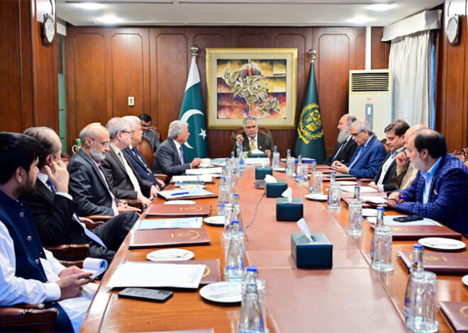 DPM reviews wheat import progress