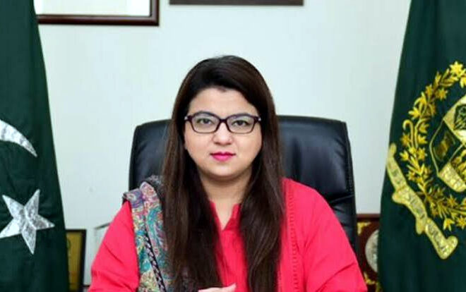 Satellite internet framework nearing completion in Pakistan to boost connectivity: minister