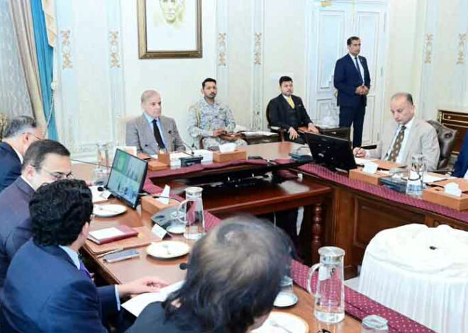 PM Shehbaz expresses displeasure over slow progress on Gemstones Pilot Project